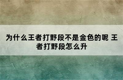 为什么王者打野段不是金色的呢 王者打野段怎么升